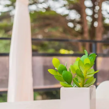 Moderne Avec Canapé Convertible Au Touquet - Fr-1-821-25 Appartamento